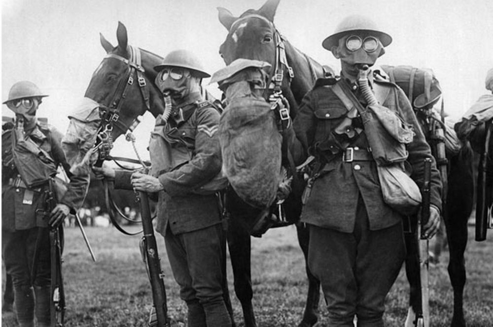 Allied soldiers and their horses wearing gas masks during World War One