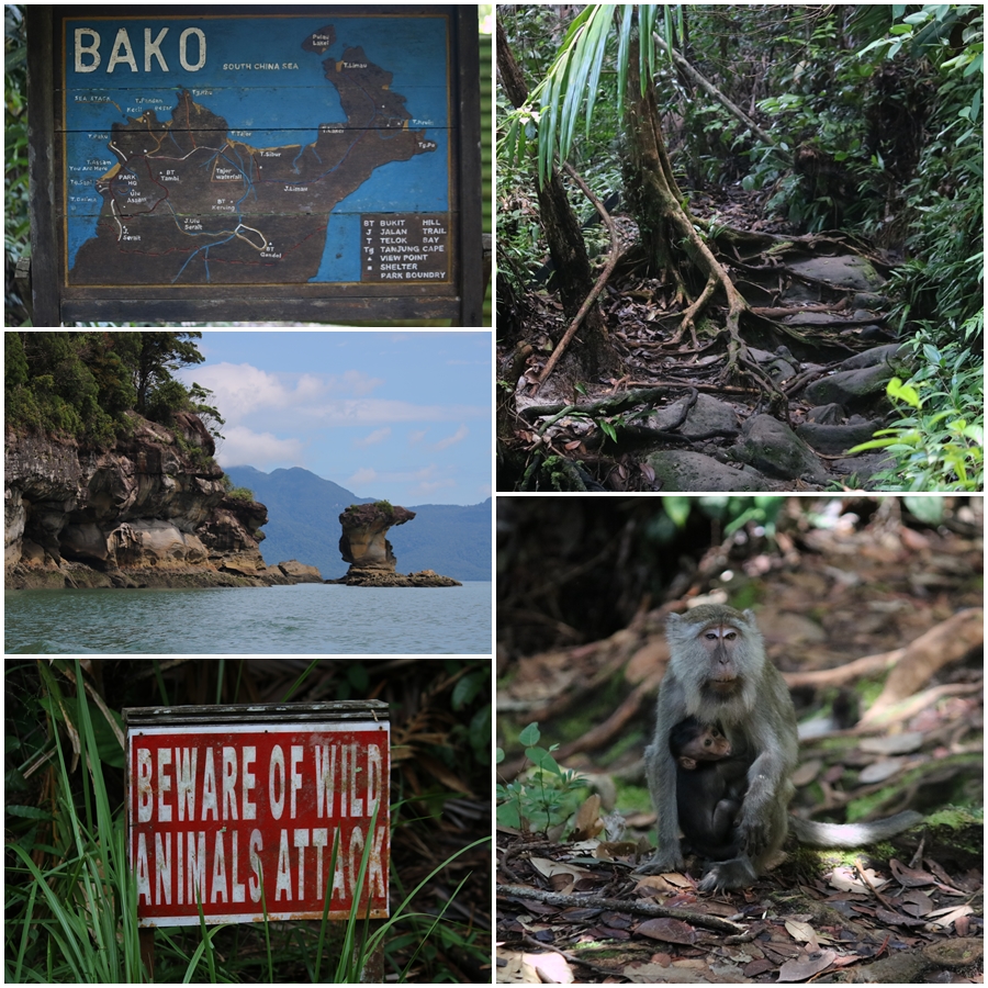 There is plenty of hiking, boating and wildlife options - Bako National Park, Sarawak Malaysia (May 2018)